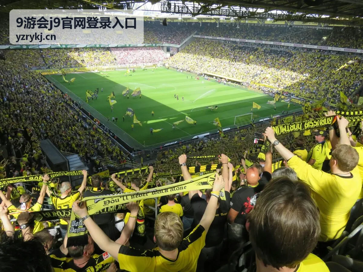 平板设备上使用9游会j9官网登录入口的横竖屏适配说明