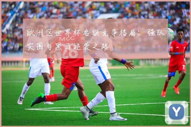 欧洲区世界杯名额竞争格局：强队突围与黑马逆袭之路